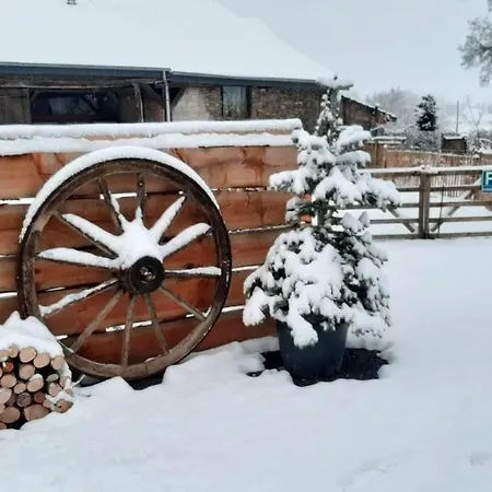 Gitanneke Casa vacanze Burg Reuland