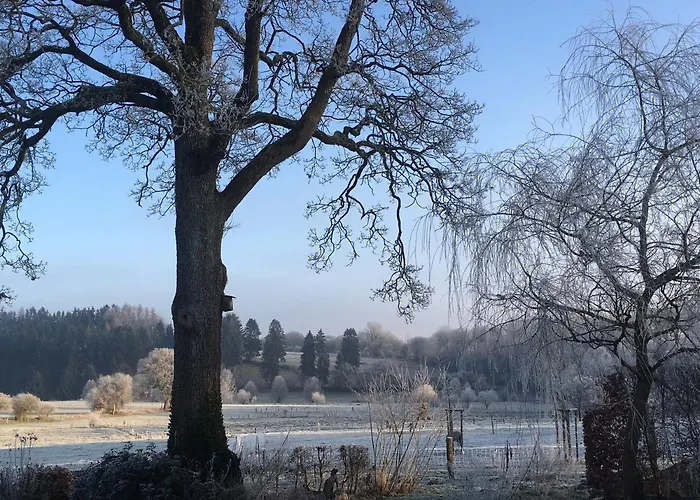 Gitanneke * Бург-Ройланд