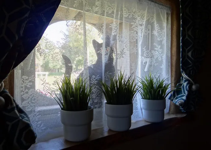 Gitanneke * Бург-Ройланд