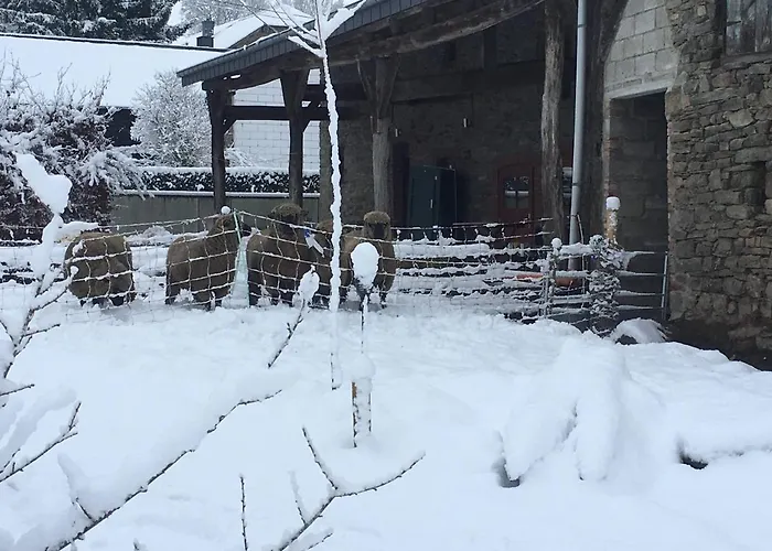 Gitanneke * Бург-Ройланд